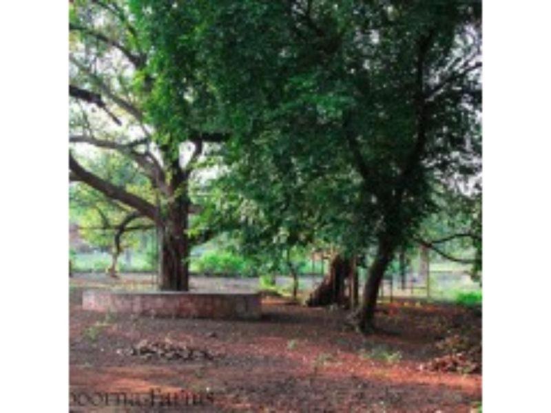 Annapoorna Farms Villa 6Bhk Khopoli Eksteriør bilde